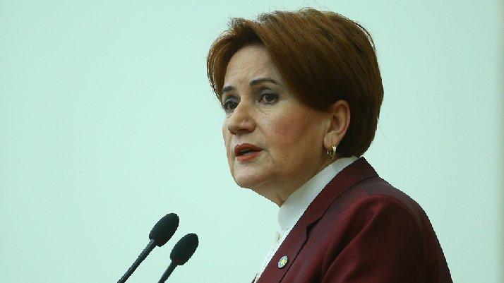 Akşener'den Erdoğan ve Bahçeli'ye 'Perinçek' göndermesi